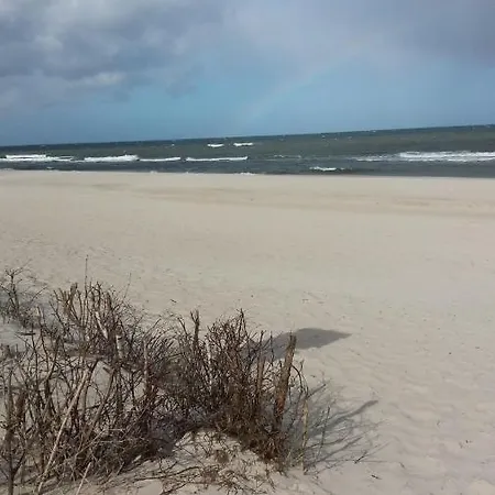 Limba 亚斯塔尔尼亚