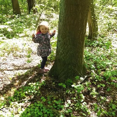 Limba * Ястарня