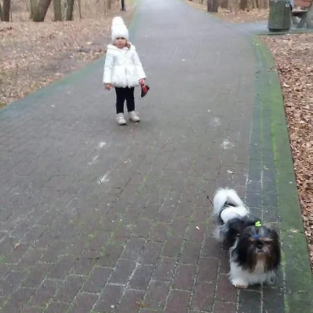 Limba 亚斯塔尔尼亚