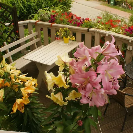 ホームステイ Limba