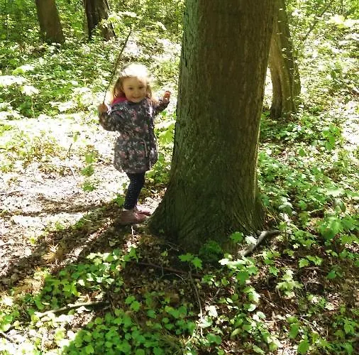 Limba * ヤスタルニャ